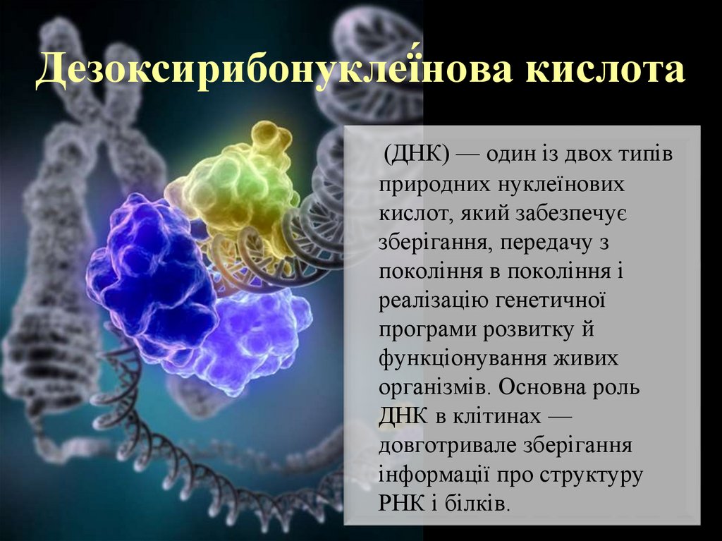 Атомы. Молекулы. 7 класс - презентация онлайн