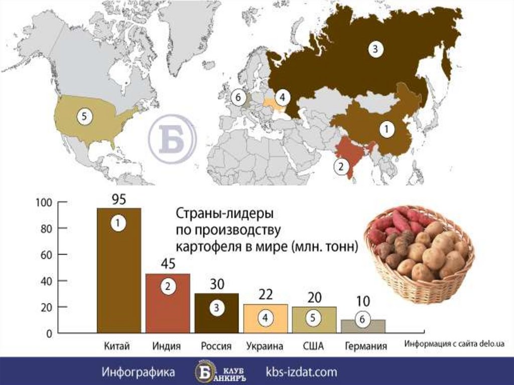 Где больше всего производят. Страны Лидеры по производству картофеля. Крупнейший производитель картофеля. Картофель страны производители. Районы возделывания картофеля.