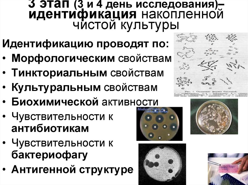 Презентация бактериологические методы исследования