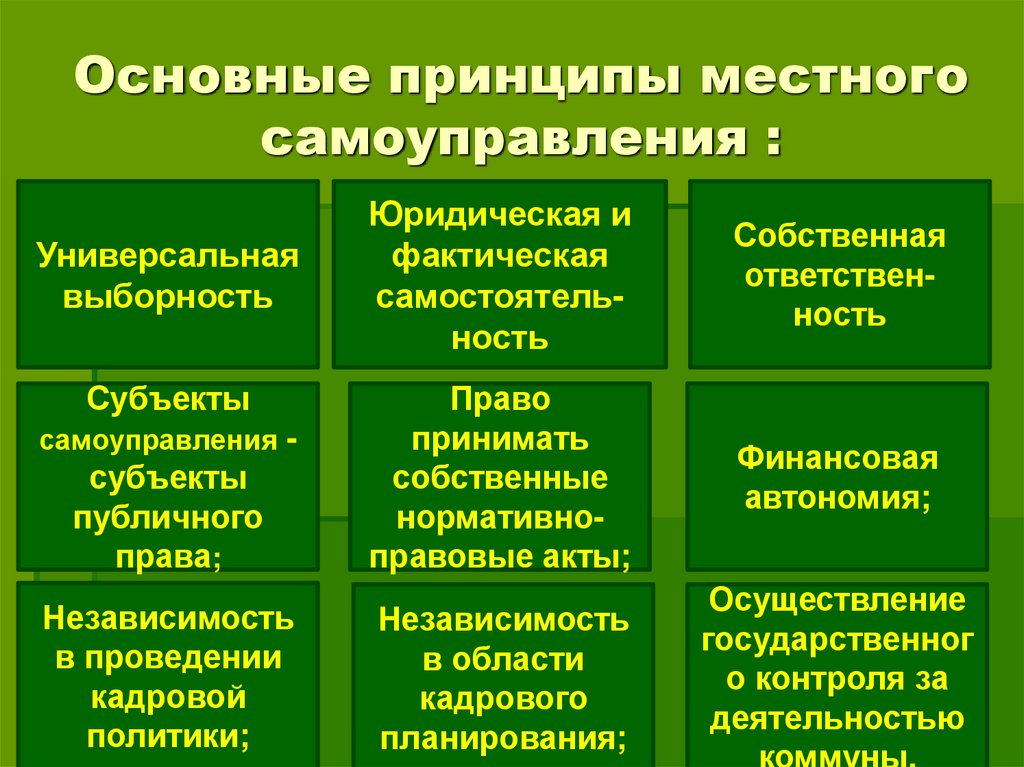 Понятие и принципы экономической основы местного самоуправления презентация