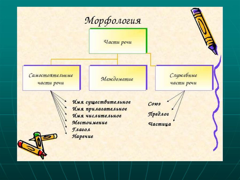 Конспект части речи 6 класс. Что изучает морфология в русском языке. Что такое морфология в русском языке 5 класс. Что изучает морфология 5 класс. Что изучает раздел русского языка морфология.