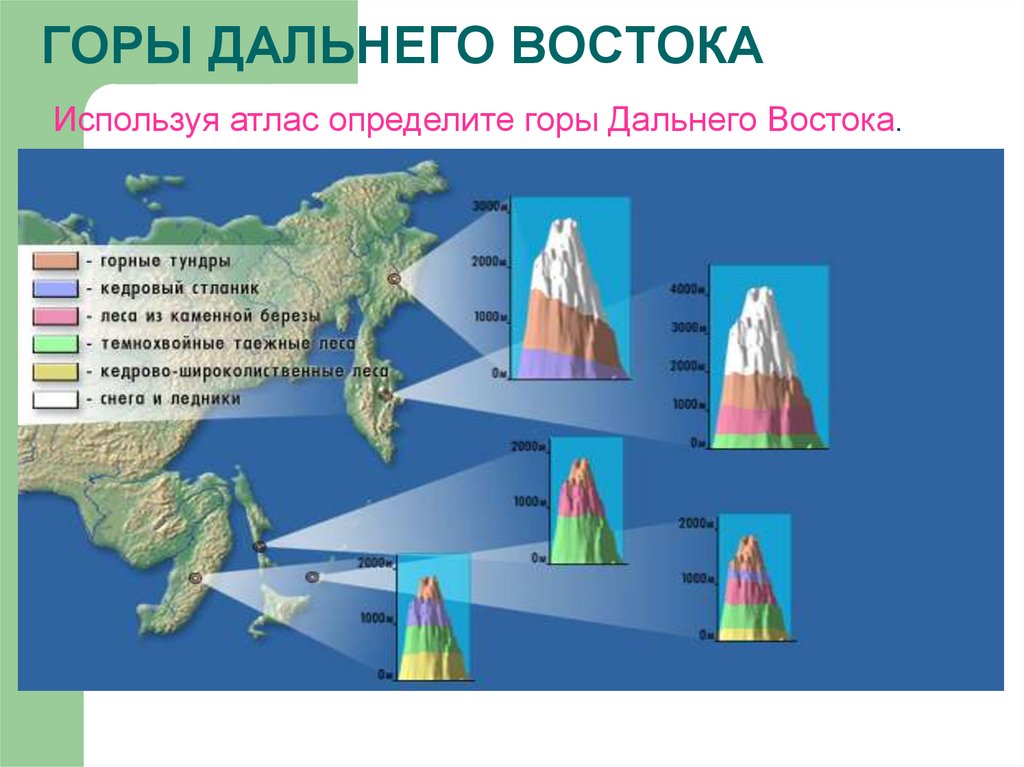 Высотная поясность дальнего Востока. Высотная поясность гор дальнего Востока. Крымские горы Высотная поясность. Высотная поясность Дагестана.