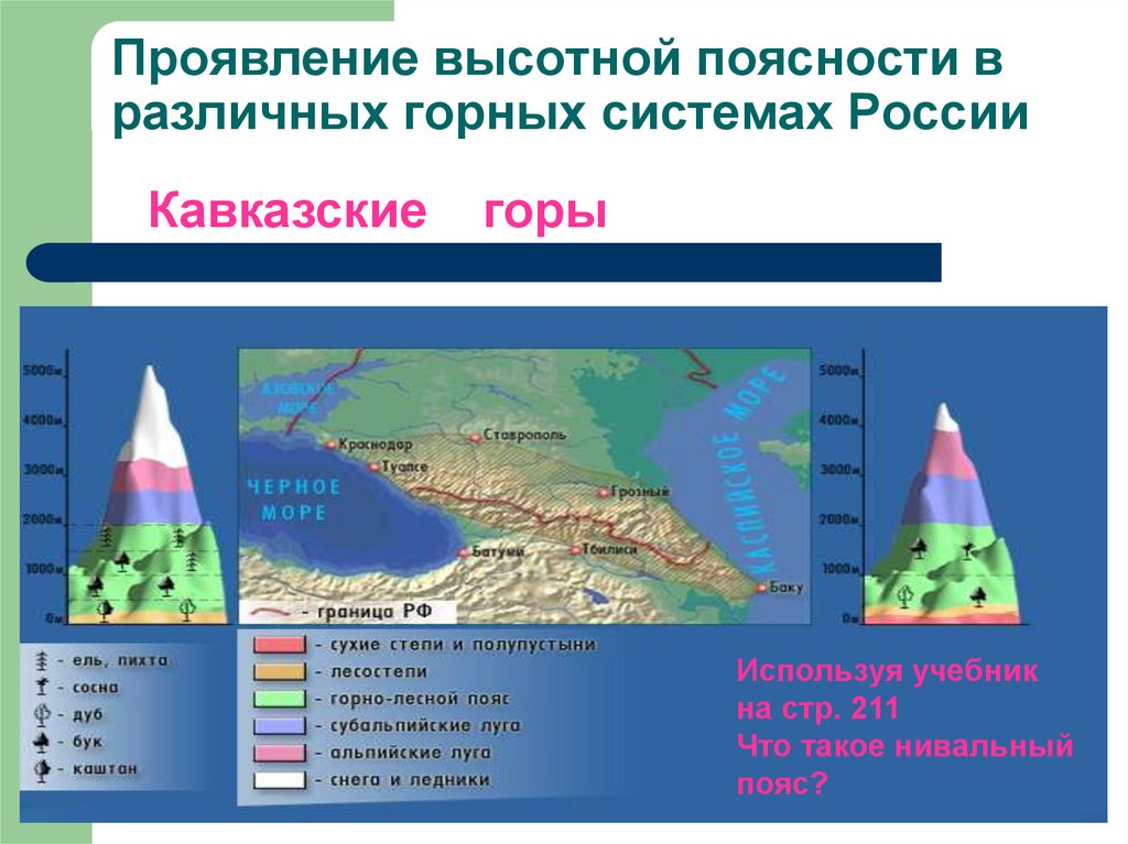 Высотная поясность кавказа 8 класс. Высотная поясность в горах Кавказа. Высотная поясность класс 8 класс. Высотная поясность Северного Кавказа.