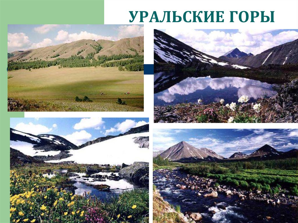 Многоэтажность природы гор 8 класс конспект. Многоэтажность природных гор презентация. Многоэтажность природы гор 8 класс география. Географическое положение многоэтажность природы гор. Многоэтажность природы гор 8 класс география презентация.