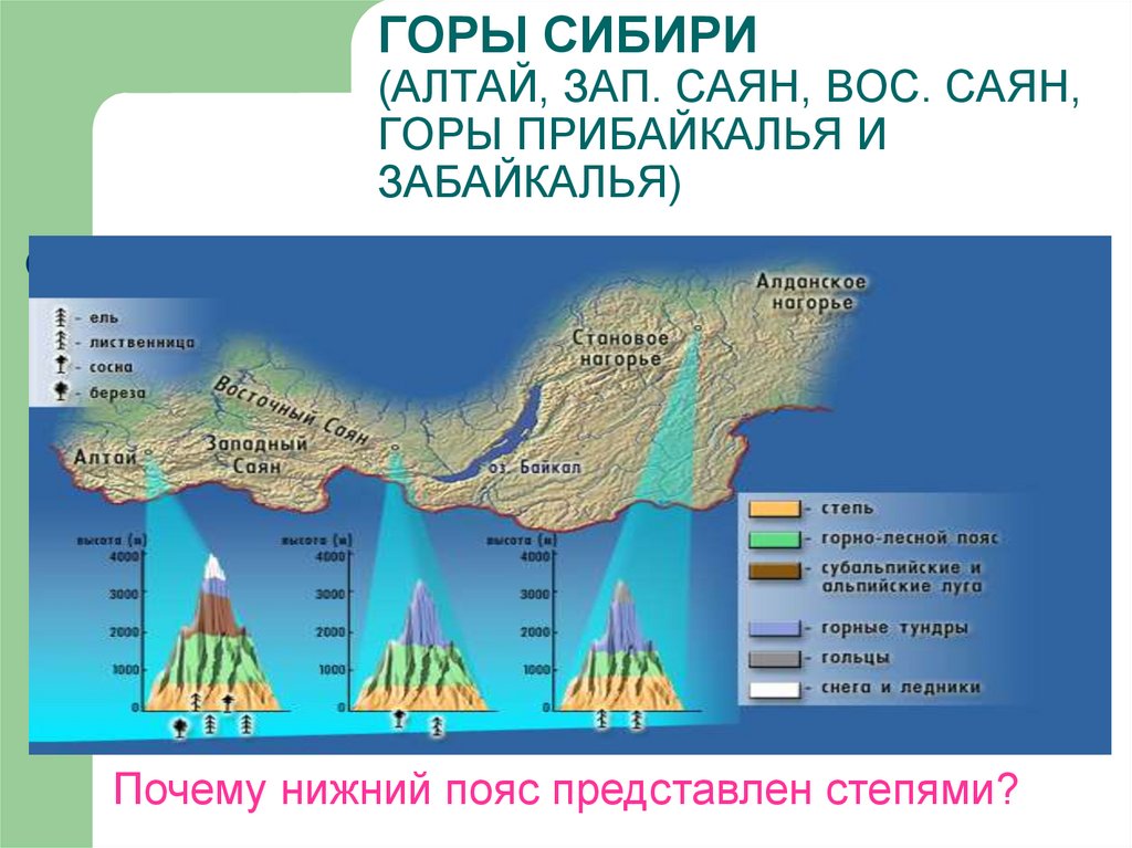 Природные зоны кавказских гор таблица. Высотная поясность Алтая и Саян. Высотная поясность гор Юга Сибири. Высотная поясность в горах Алтая. Схема ВЫСОТНОЙ поясности гор Южной Сибири.