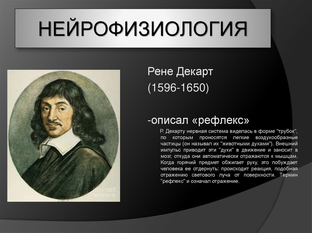 Рен система. Творения Рене Декарта. Рене Декарт теория. Ученые математики Рене Декарт. Рене Декарт (1596 – 1660).