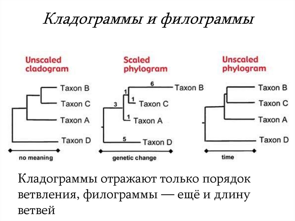 Выберите последовательный