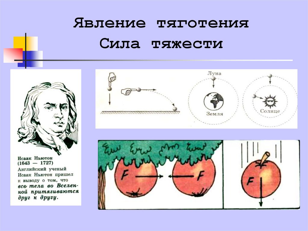 Рассмотрите рисунок на какое ие яблоко и действует сила тяжести