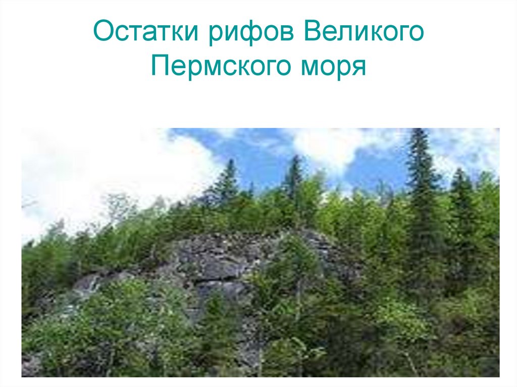 Пермское море на карте. Великое Пермское море. Моря Пермского края названия. Остатки Пермского моря. История Пермского моря картинки.