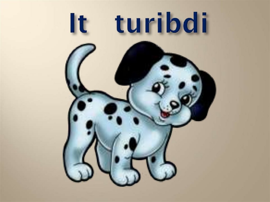 It turibdi