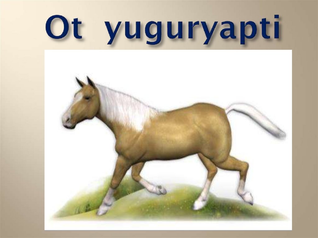 Ot yuguryapti