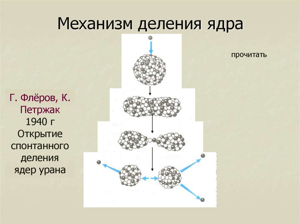 Реакция деления синтез деление. На каком рисунке изображена цепная реакция деления ядер. Формула цепного деления.
