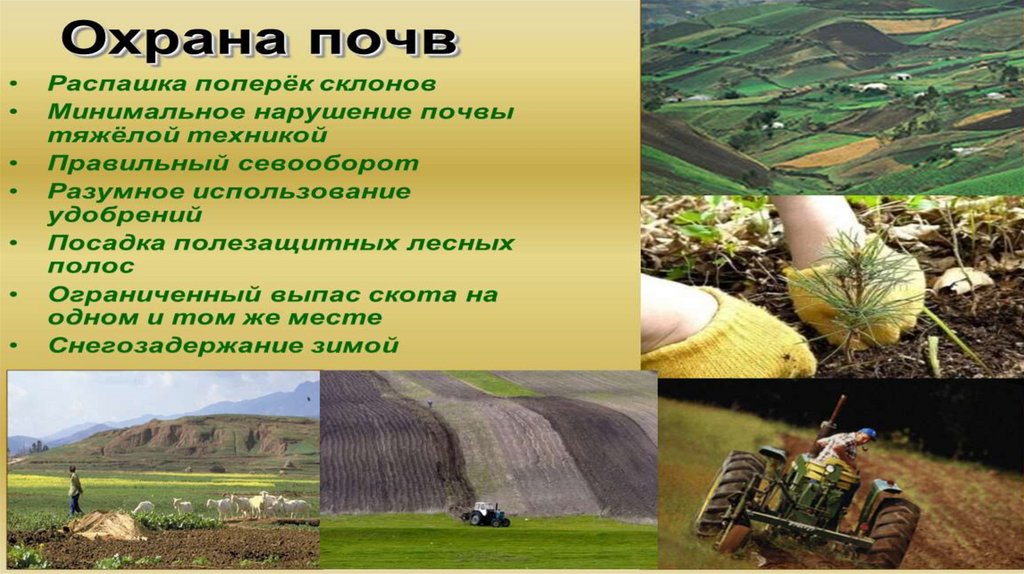 Почва - презентация онлайн