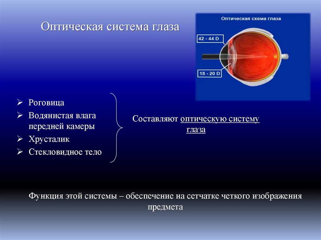 Какое образование относят к оптической системе глаза. Оптическая система глаза. Оптическая система глаза функции. Рефракция оптической системы это. Оптическая система глаза презентация.
