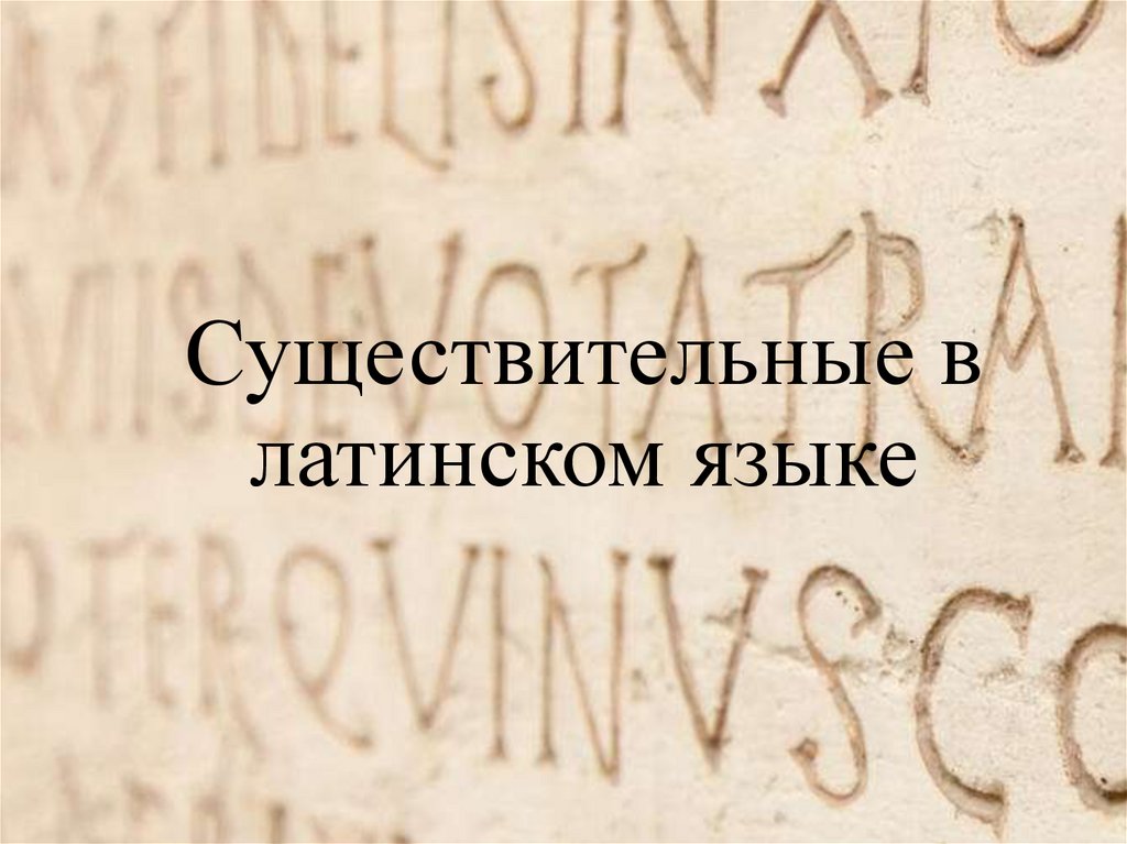 Существительные в латинском языке - презентация онлайн