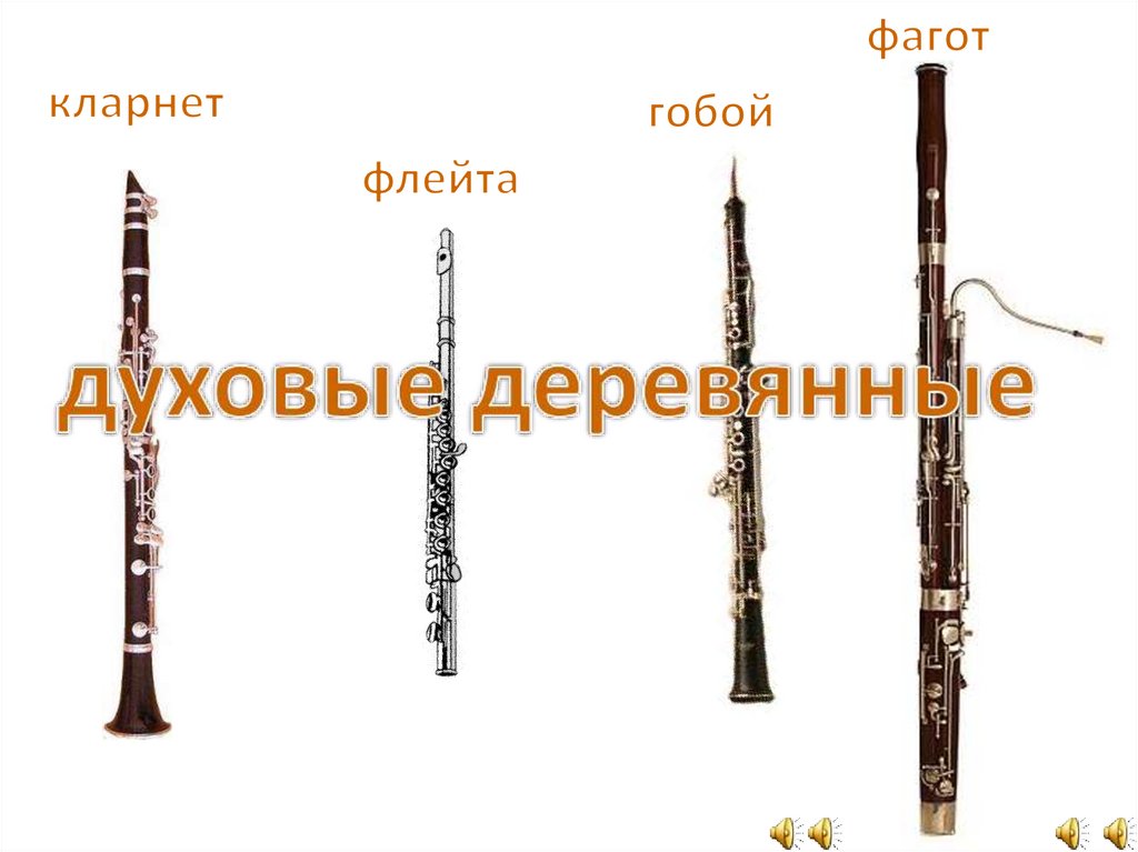 Гобой труба кларнет. Флейта гобой кларнет Фагот. Флейта гобой кларнет Фагот группа инструментов. Фагот деревянный духовой музыкальный инструмент. Деревянные духовые инструменты симфонического оркестра.