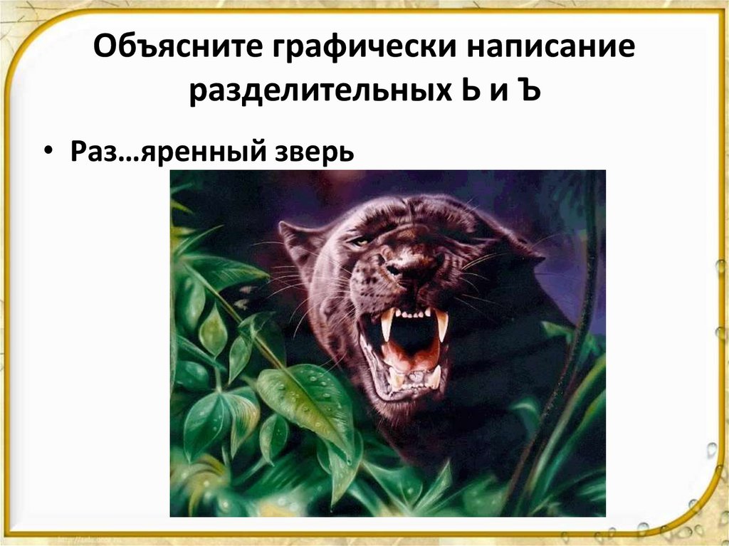 Объясните графически написание разделительных Ь и Ъ
