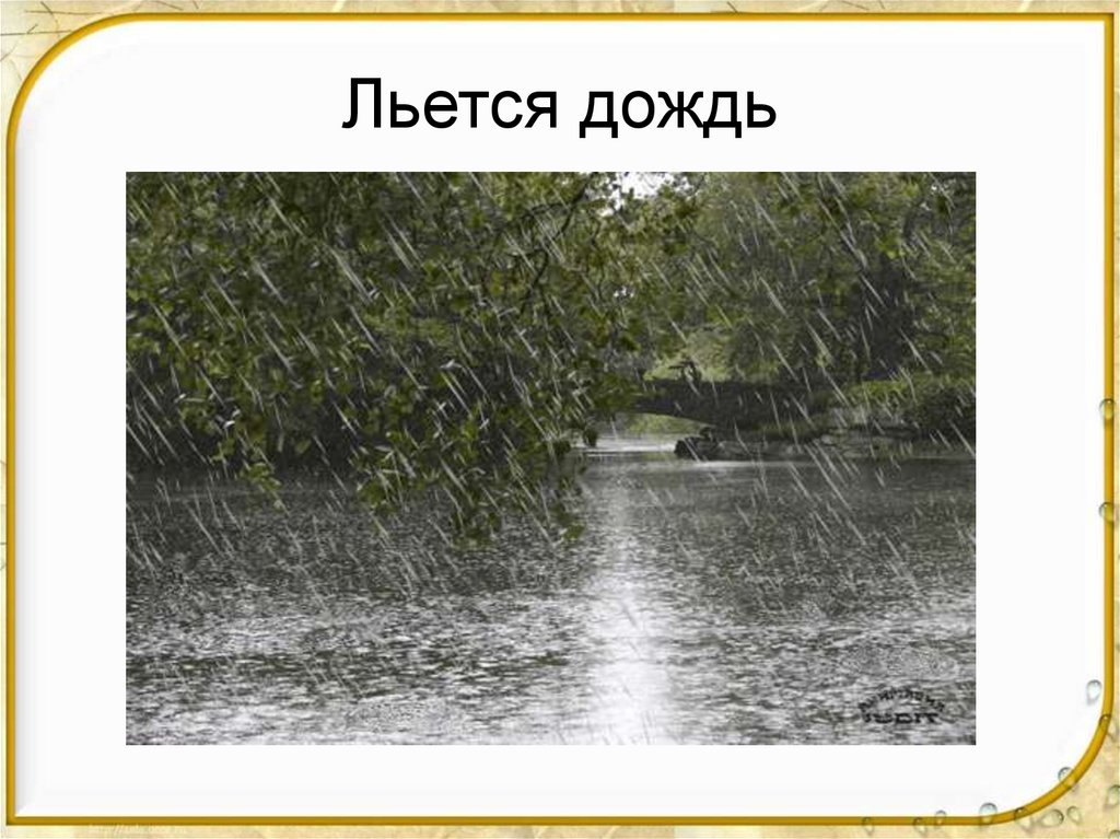 Завтра дождик. Льется дождь. Спорый дождь и ливень. Хлынул дождь.