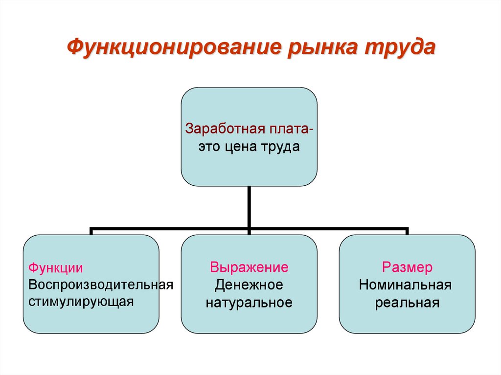 Регулярно функционирующий рынок. Особенности функционирования рынка земли кратко. Как функционирует рынок информации.