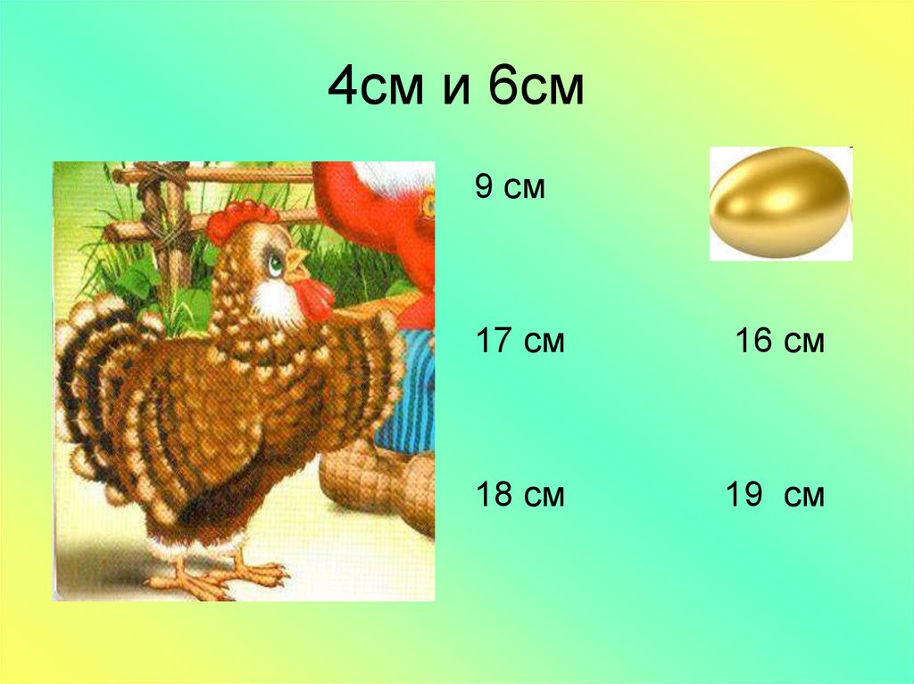 4см и 6см