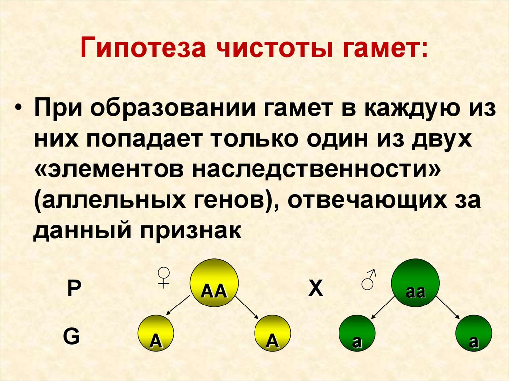 Основы генетики животных - Союз Заводчиков и Селекционеров