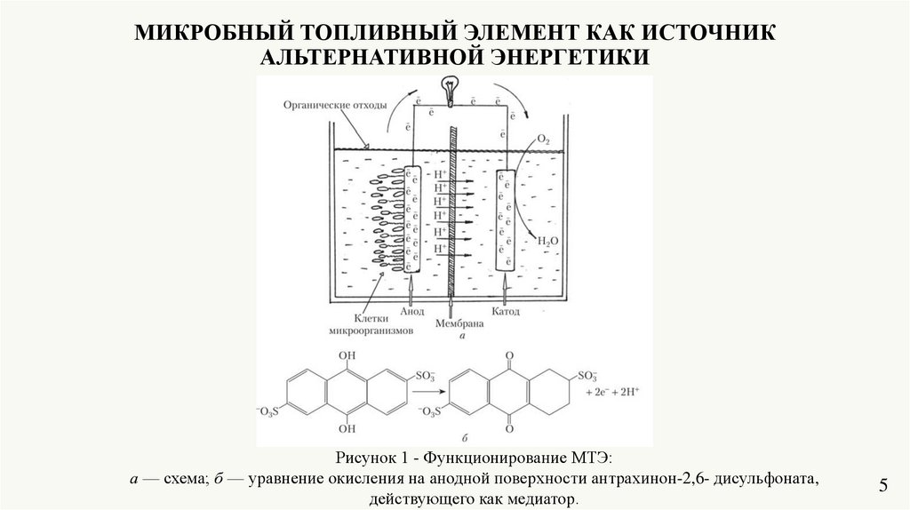 микробные топливные элементы