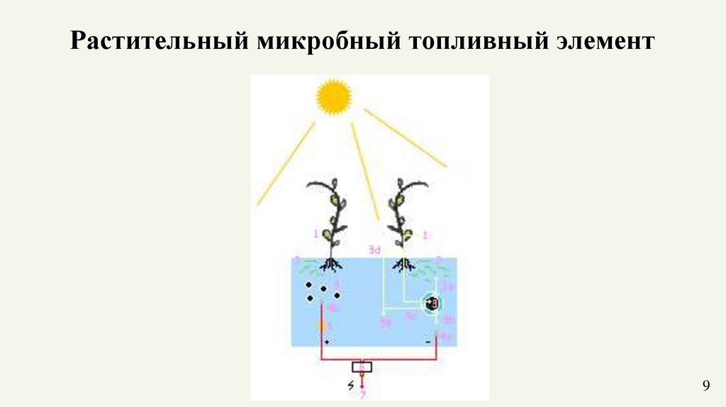 Серебро и восстановленный оксид графена помогли создать рекордно мощный микробный топливный элемент