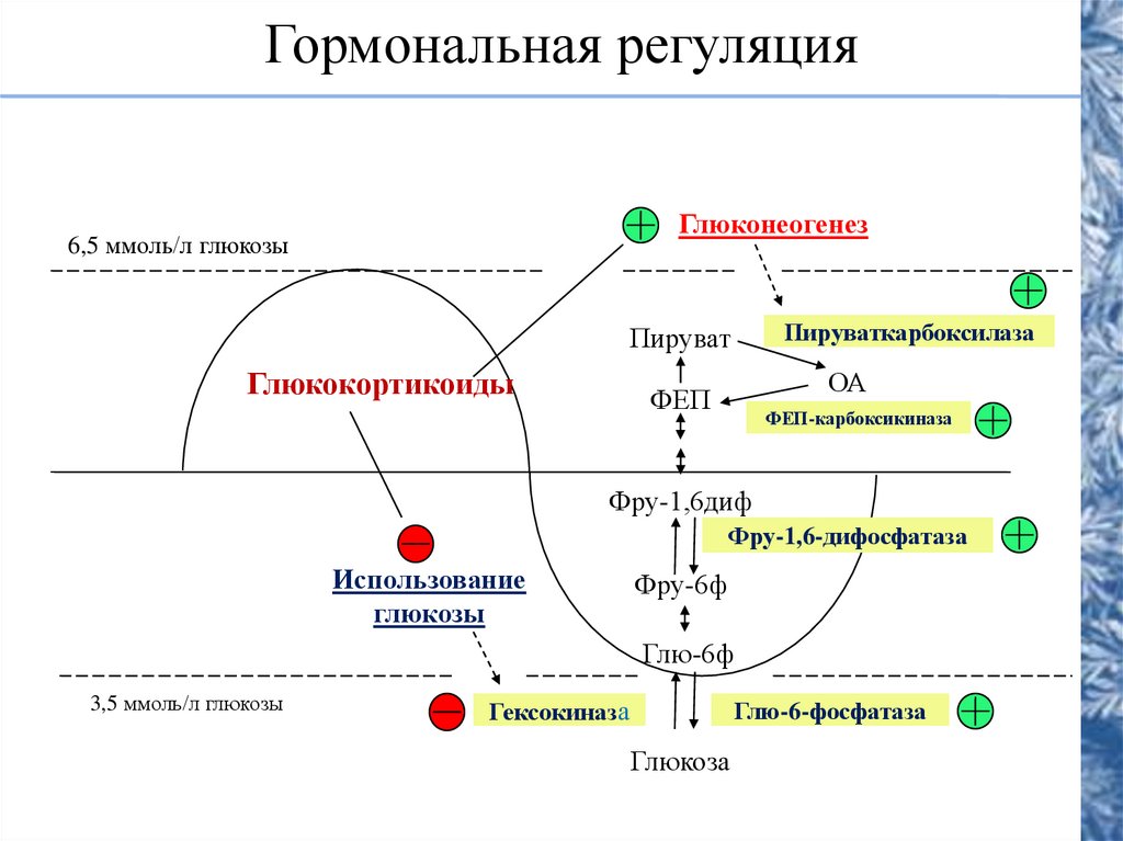 Регуляция общества