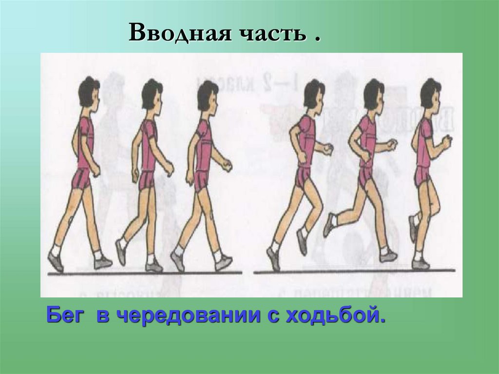 Вводная часть .