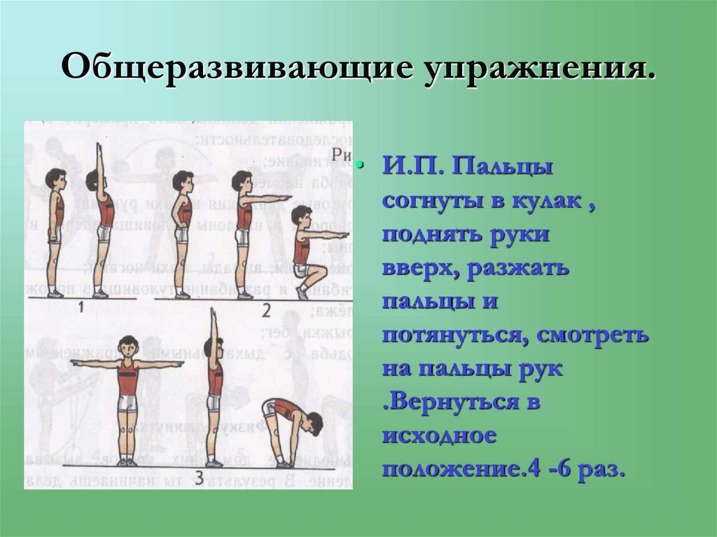 Общеразвивающие упражнения.