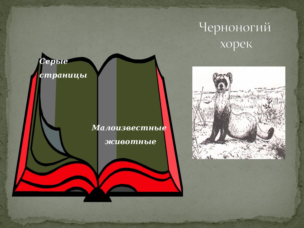 Красная книга России - презентация онлайн