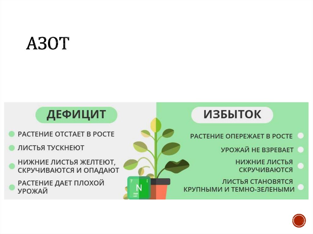 Тест удобрения 6 класс. Почвенное питание растений 6 класс. Биология 6 класс тема питание растений удобрения.