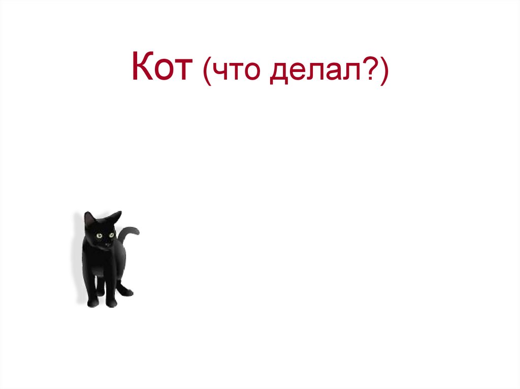 Кот (что делал?)