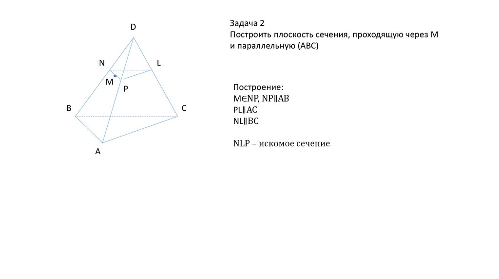 Основные сечения - презентация онлайн