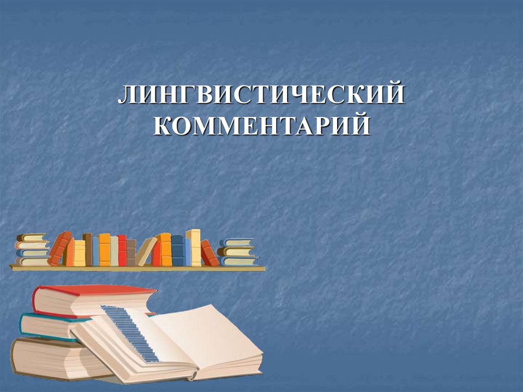 ЛИНГВИСТИЧЕСКИЙ КОММЕНТАРИЙ