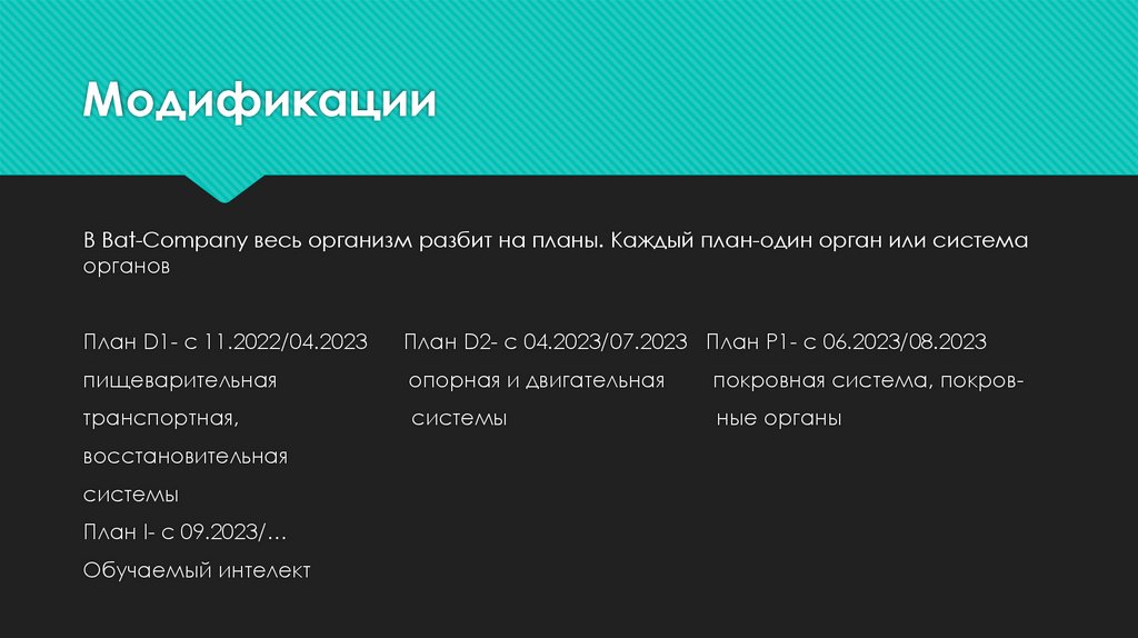 bat-company-online-presentation