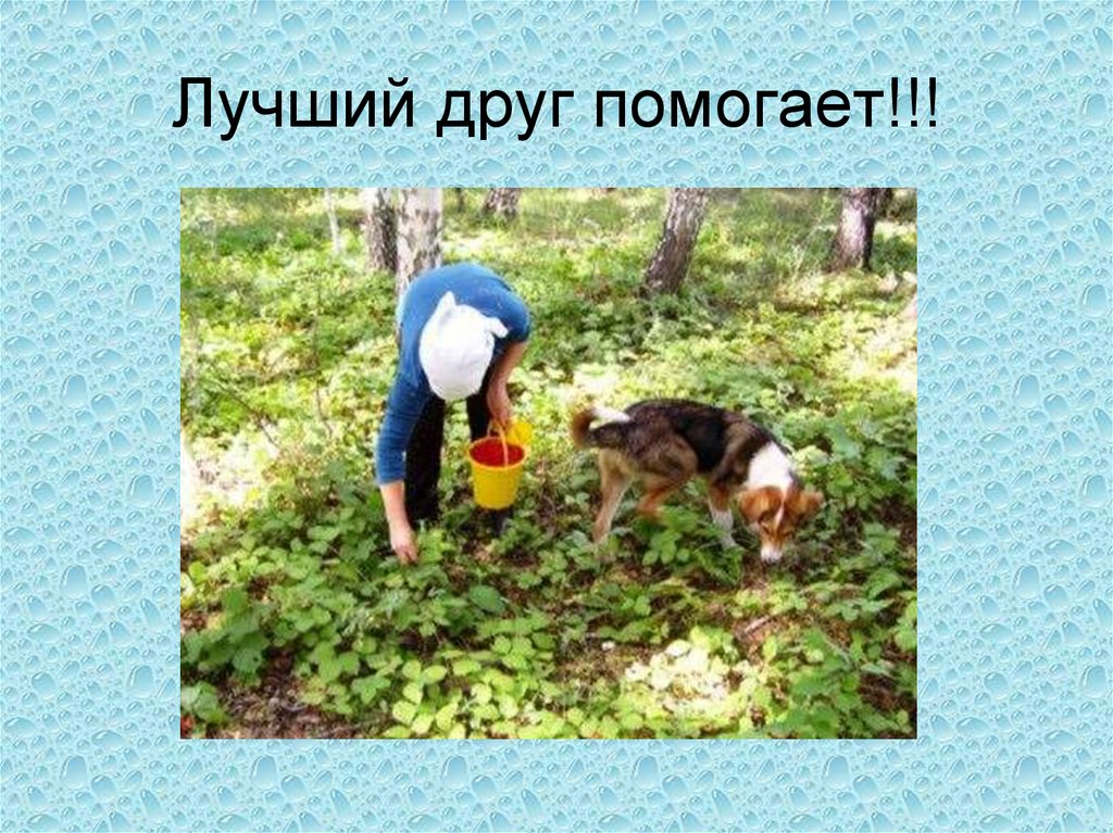 Лучший друг помогает!!!
