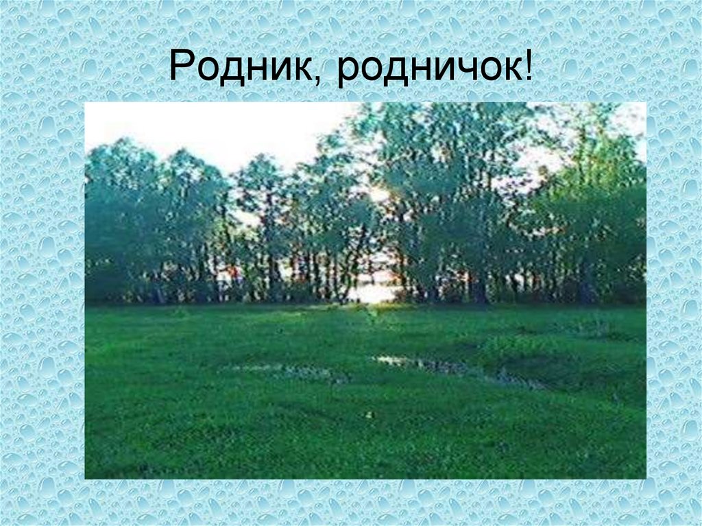 Родник, родничок!