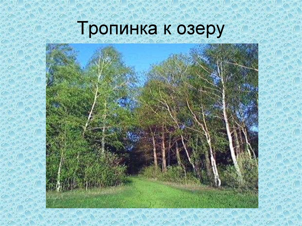 Тропинка к озеру