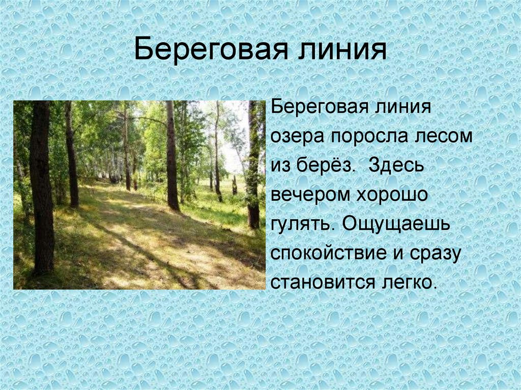 Береговая линия