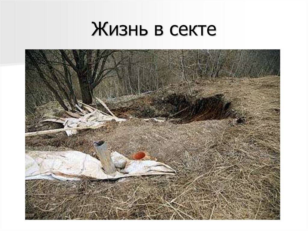 Жизнь в секте