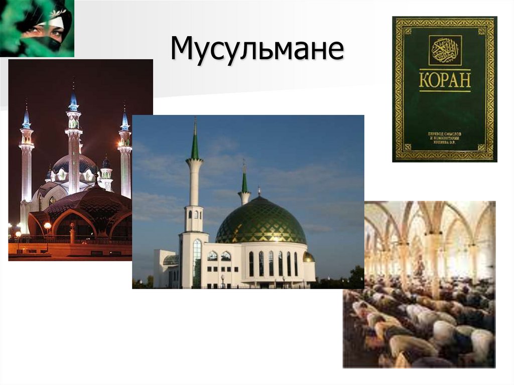 Мусульмане
