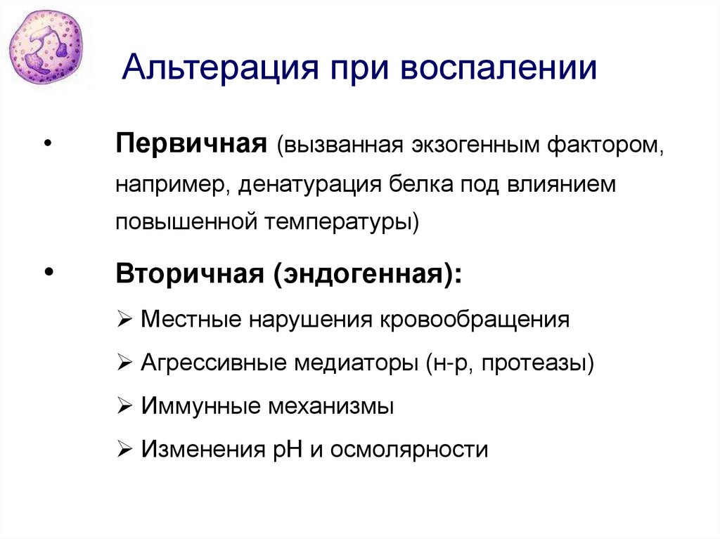 Возникло воспаление. Механизм вторичной альтерации. Вторичная альтерация механизм развития. Первичная и вторичная альтерация в очаге воспаления. Механизм первичной альтерации при воспалении.