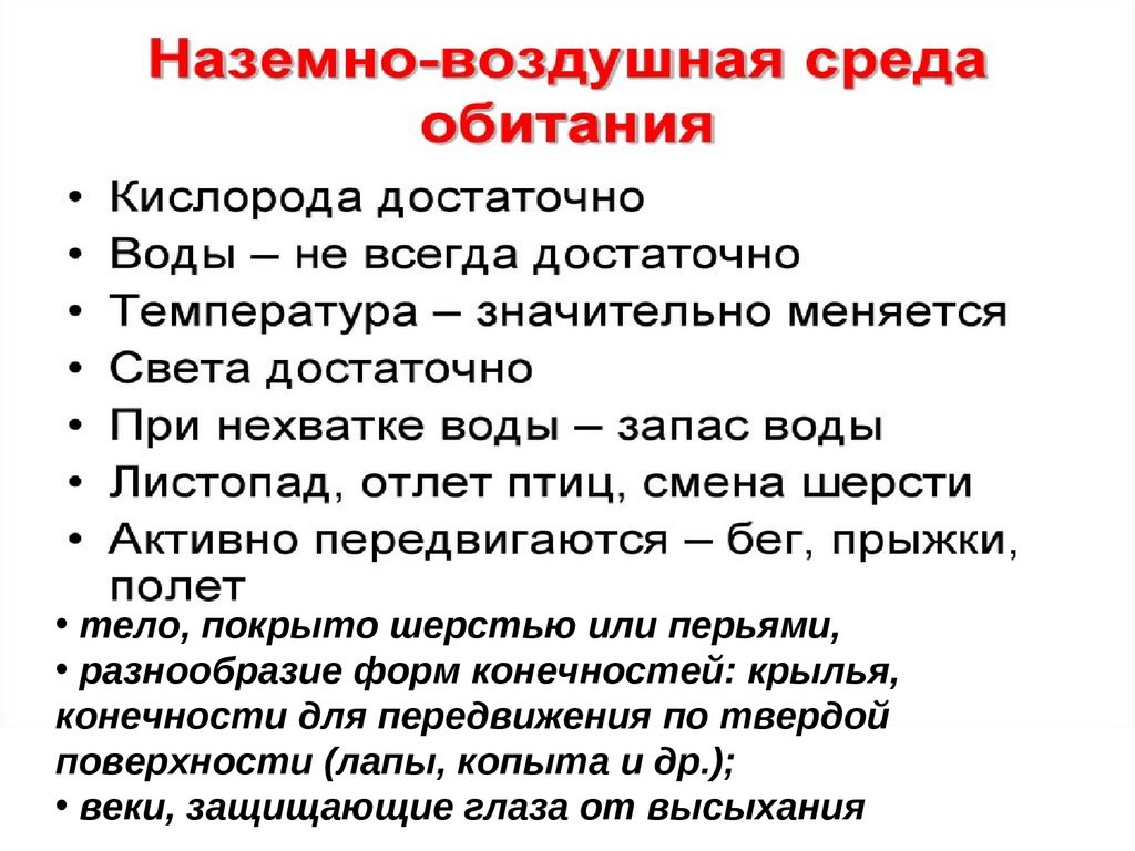 Условия обитания в наземно воздушной среде