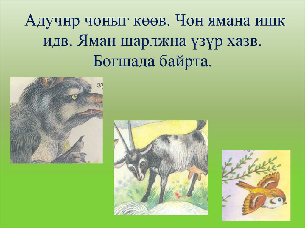 Адучнр чоныг көөв. Чон ямана ишк идв. Яман шарлҗна үзүр хазв. Богшада байрта.