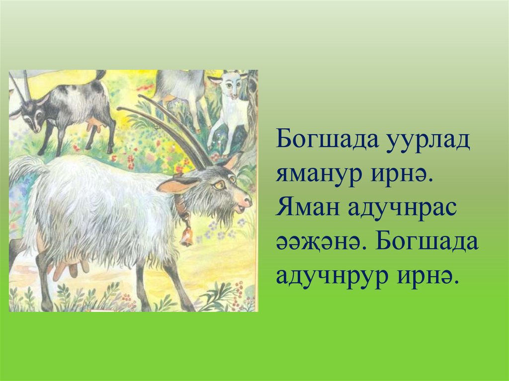Богшада уурлад яманур ирнə. Яман адучнрас əəҗəнə. Богшада адучнрур ирнə.