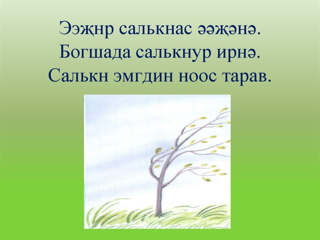 Ээҗнр салькнас əəҗəнə. Богшада салькнур ирнə. Салькн эмгдин ноос тарав.