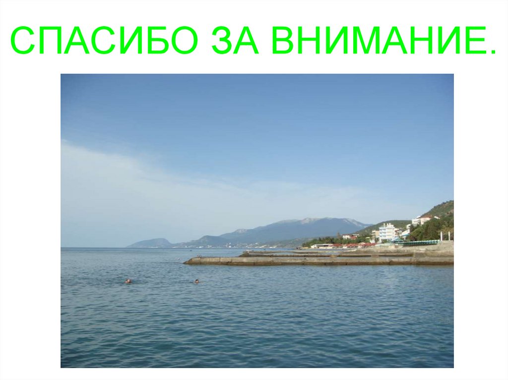 СПАСИБО ЗА ВНИМАНИЕ.