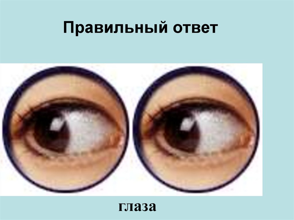 Правильный ответ