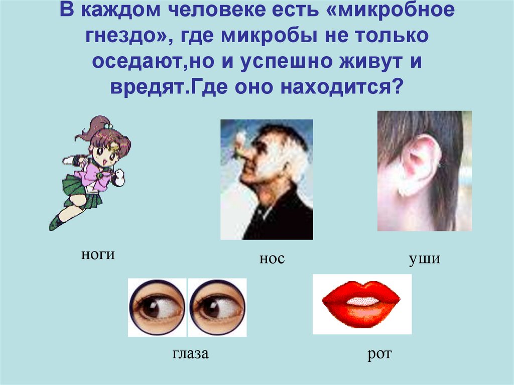 В каждом человеке есть «микробное гнездо», где микробы не только оседают,но и успешно живут и вредят.Где оно находится?